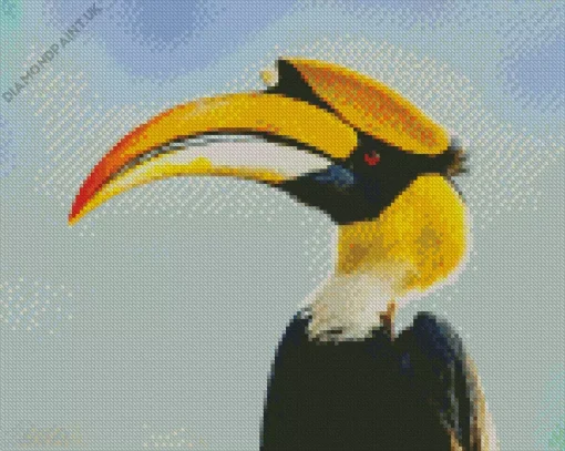 Hornbill Bird Diamond Painting