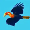 Hornbill Bird Flying Diamond Painting