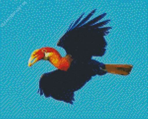 Hornbill Bird Flying Diamond Painting