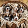 Staffordshire Puppies Diamond Painting