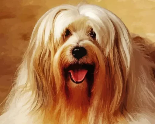 Tibetan Terrier Dog Diamond Painting