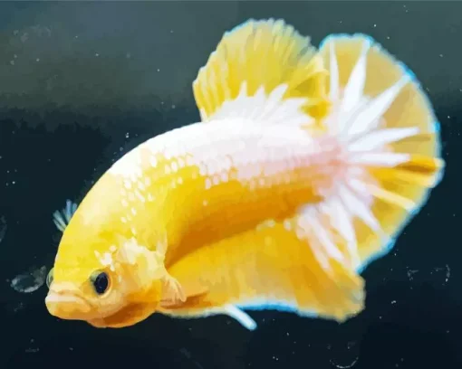 Yellow Betta Fish Diamond Painting