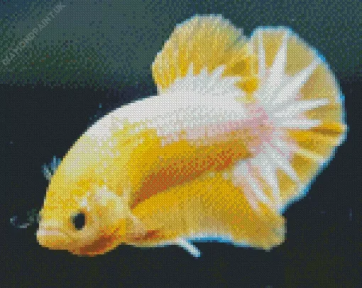 Yellow Betta Fish Diamond Painting