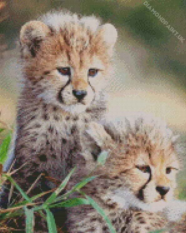 baby cheetahs Diamond By Numbers Baby Cheetahs Diamond Painting