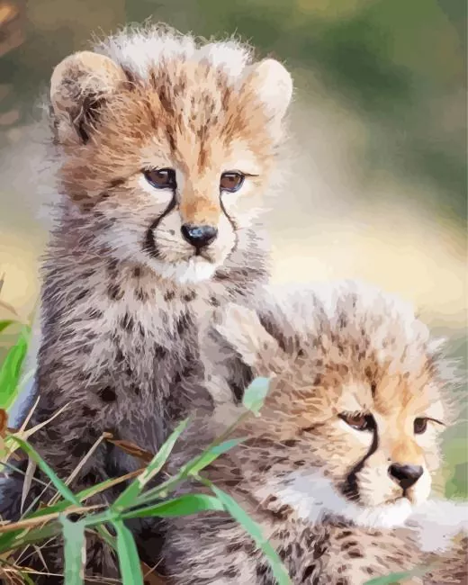 baby cheetahs Diamond Paintings Baby Cheetahs Diamond Painting