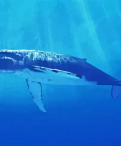 Big Blue Whale Diamond Painting