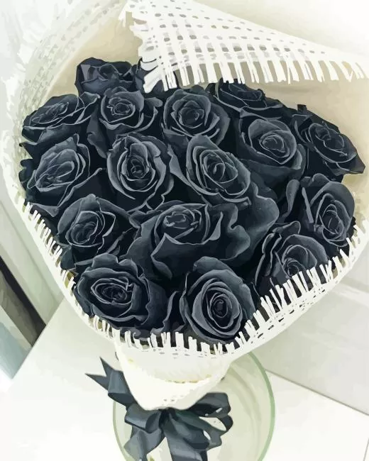 black roses Diamond By Numbers Black Roses Diamond Painting