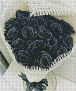 Black Roses Diamond Painting