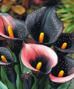 Calla Lily Diamond Painting