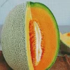 Cantaloupe Melon Diamond Painting