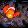 Clownfish Underwater Diamond Painting