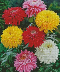 Colorful Chrysanthemum Flower Diamond Painting