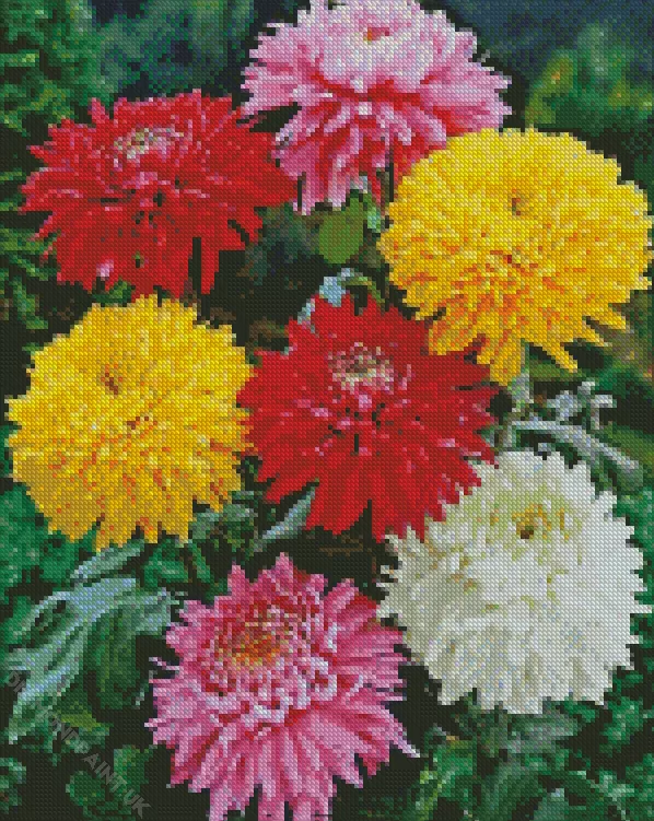 colorful chrysanthemum flower Diamond By Numbers Colorful Chrysanthemum Flower Diamond Painting