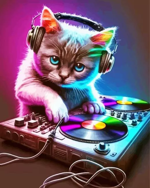 dj kitty art Diamond Paintings Dj Kitty Art Diamond Painting