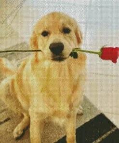 Dog Holding A Red Rose Diamond Painting