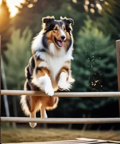 Dog Jumping Diamond Painting