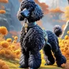 Dog Poodle Diamond Painting