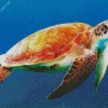 Loggerhead Sea Turtle Diamond Painting