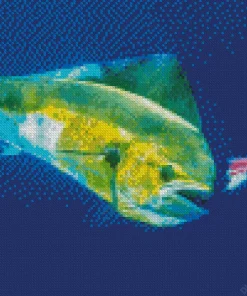 Mahi Mahi Fish Diamond Painting