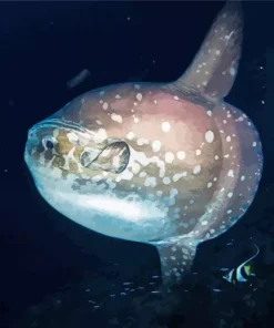 Mola Fish Diamond Painting