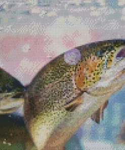 Rainbow Trout Fish Diamond Painting