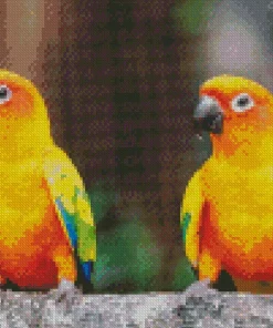 Sun Conure Birds Diamond Painting