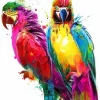Attractive African Parrots Diamond Painting