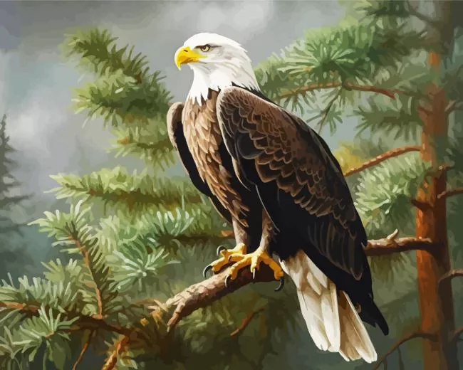 Bald Eagle Diamond By Numbers Bald Eagle Diamond Painting