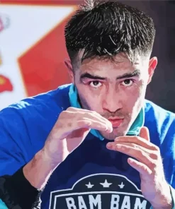 Boxer Bam Bam Diamond Painting