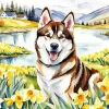 Brown Husky Diamond Painting