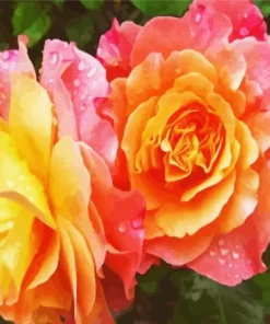 Orange Rose Diamond Painting