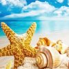Sandy Shells Diamond Painting