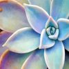 Succulent Plant Diamond Painting