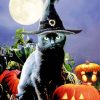 Witchy Black Halloween Cat Diamond Painting