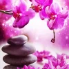 Balancing Stones And Pink Flowers Diamond Painting