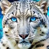 Blue Eyes Leopard Diamond Painting