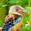 Blue Winged Kookaburra Bird Diamond Painting