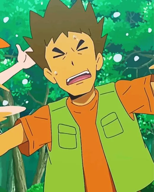 brock pokemon Diamond By Numbers Brock Pokemon Diamond Painting