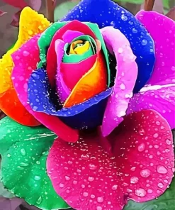 Colorful Flower Diamond Painting