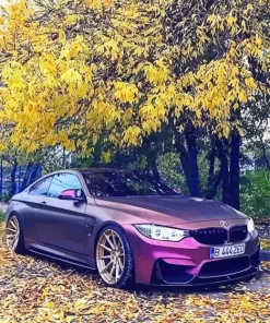 Flat Purple Car Art Diamond Painting