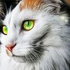 Green Eyed Cat Diamond Painting