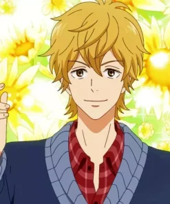 Kento Miura Kimi Ni Todoke Diamond Painting