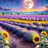 Lavenders And Sunflowers Diamond Painting