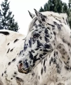Leopard Horse Diamond Painting