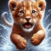 Lion Cub Animal Diamond Painting
