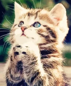 Lovely Little Cat Diamond Painting