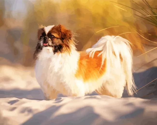 pekingese dog Diamond With Numbers Pekingese Dog Diamond Painting