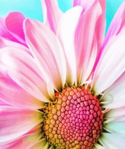 Pink Flower Diamond Painting