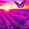 Purple Butterfly Sunset Diamond Painting