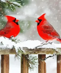 Red Cardinals In Snow Diamond Painting